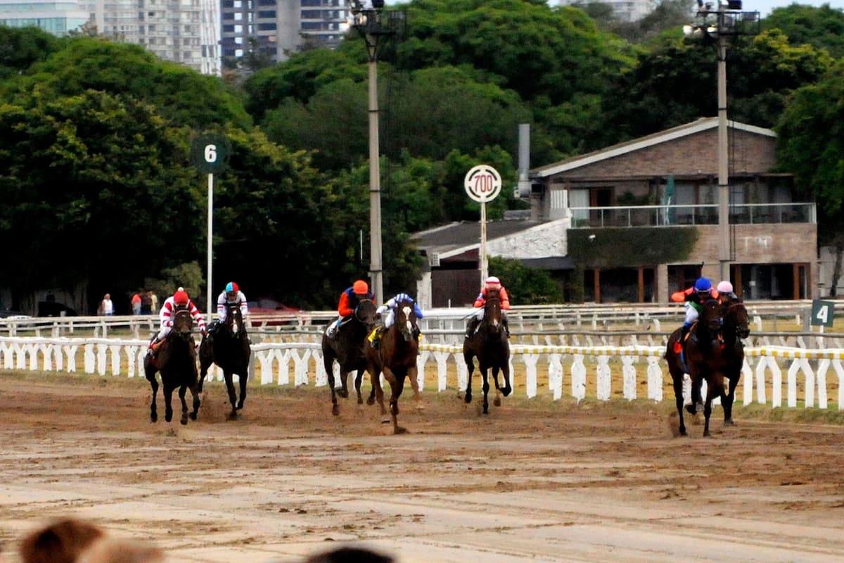 Irwin perdió de vista a los seis rivales que tuvo en el Gran Premio Nacional (G1), en los 2500 metros de Palermo