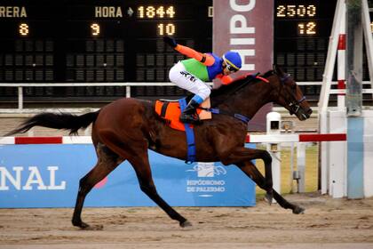 Irwin se impuso por nueve cuerpos en el Gran Premio Nacional, en noviembre pasado en Palermo; luego de tener cuatro entrenadores en 2021, competirá este sábado en el UAE Derby.