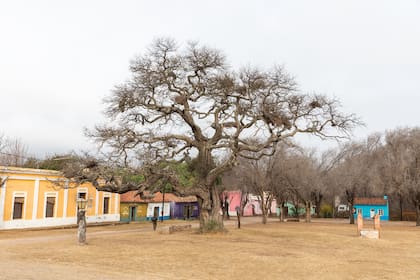 Ischilín es el pueblo que le dio vida a Fernando Fader