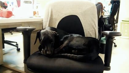Isidro, en la oficina