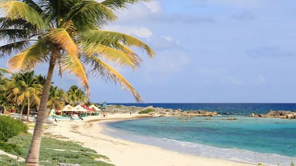 El hambre por la fiesta de Leo será saciado en la Isla mexicana de Cozumel