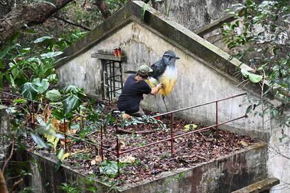 Isla Lantau, Hong Kong. Edición fotográfica de Jesica Rizzo