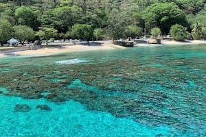 Isla Navidad, Cangrejo Rojo