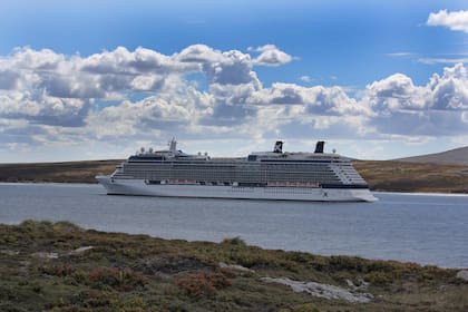 Según la Cámara de Turismo de las islas, más de 40 barcos incluyen regularmente una parada en las Malvinas en sus itinerarios de verano en el Atlántico Sur