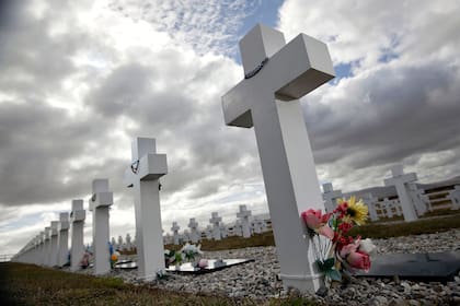 El cementerio de Darwin en la actualidad