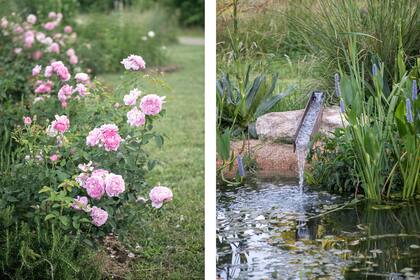 Izq.: Las rosas se lucen en el jardín. Der.: El rincón de plantas acuáticas invita al relax.