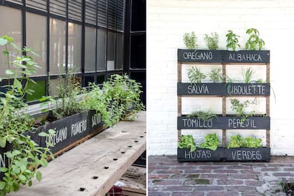 Izquierda: Cerca de la ventana de la cocina o en un balcón pueden cultivarse hierbas aromáticas en macetas de fibrocemento pintadas con pintura sintética para pizarrón (Paisajismo: Compañía Botánica). Derecha: Un pallet se convierte en huerta vertical. Por su tamaño puede ubicarse en patios o terraz