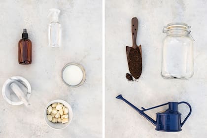 Izquierda: Preparado de alcohol de ajo. Derecha: Biofertilizante.