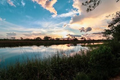 Jacksonville es un destino único que combina atractivos naturales, patrimonio histórico y entretenimiento para todos los gustos