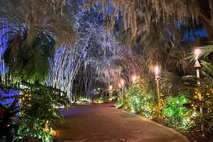 Jacksonville Zoo and Gardens es un sitio popular en Florida