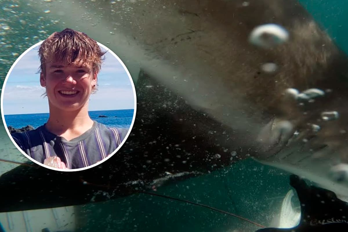 Jahmon Wilson de 18 años sufrió el ataque del depredador cerca de la costa de Nelson, en Nueva Zelanda