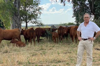 El experto que le pone un segundo piso a los campos ganaderos