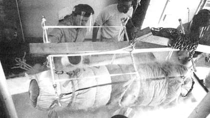 James Bedford fue criogenizado en 1967
