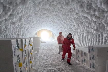 Las muestras se almacenaron en una cueva de hielo en la Antártica antes de ser transportadas en un barco con destino a Europa.