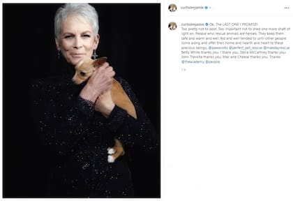 Jamie Lee Curtis compartió en sus redes sociales una foto con el cachorro que John Travolta adoptó durante la noche de los Oscar 2022 (Crédito: Instagram/@curtisleejamie)