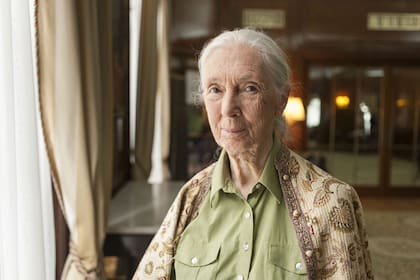 Jane Goodall: "Somos nosotros los que hemos facilitado todas las condiciones para lo que está sucendiendo con el coronavirus"