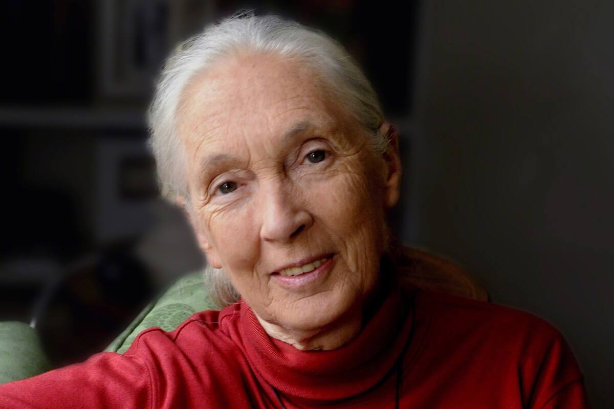 Jane Goodall