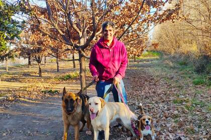 Janis, Peperina y Floki, los perros que entrenó el veterinario Luis Gobet, en la foto, para el productor Humberto Castro