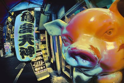 Japón desde mi bicicleta