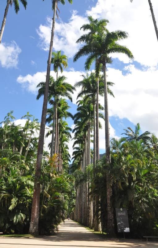 .jardin botanico