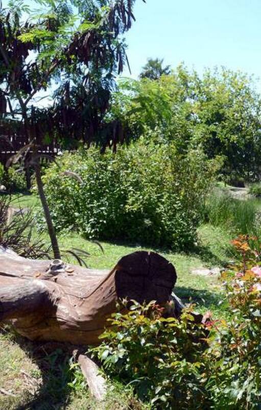 Jardín Botánico de Córdoba
