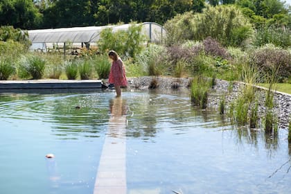 Jardín de base naturalista, donde se suceden parches productivos y otros regenerativos. La biopiscina se integra visualmente con la laguna.
Paisajismo: Sebastián Leonel Ojeda y Bárbara González