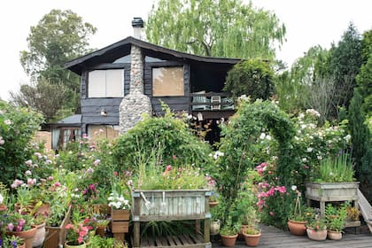 Jardín de cabaña o cottage garden, donde las estrellas son las flores y su encanto está en la sencillez.