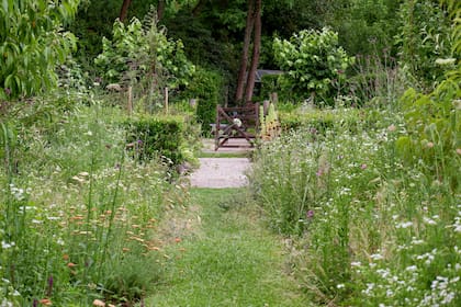 Jardín de Clara Billoch, uno de los jardines que Juan visitó en la primera temporada de su programa de entrevistas, que ya va por la tercera.