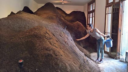 Jardín de invierno. Romina Orazi cuida una montaña de tierra donde comienzan a brotar el césped y algunas flores