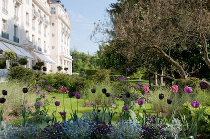 Jardín del hotel