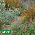 El secreto de los jardines que funcionan como pequeñas comunidades vegetales