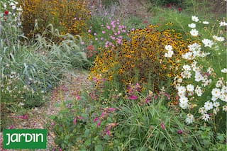 El secreto de los jardines que funcionan como pequeñas comunidades vegetales