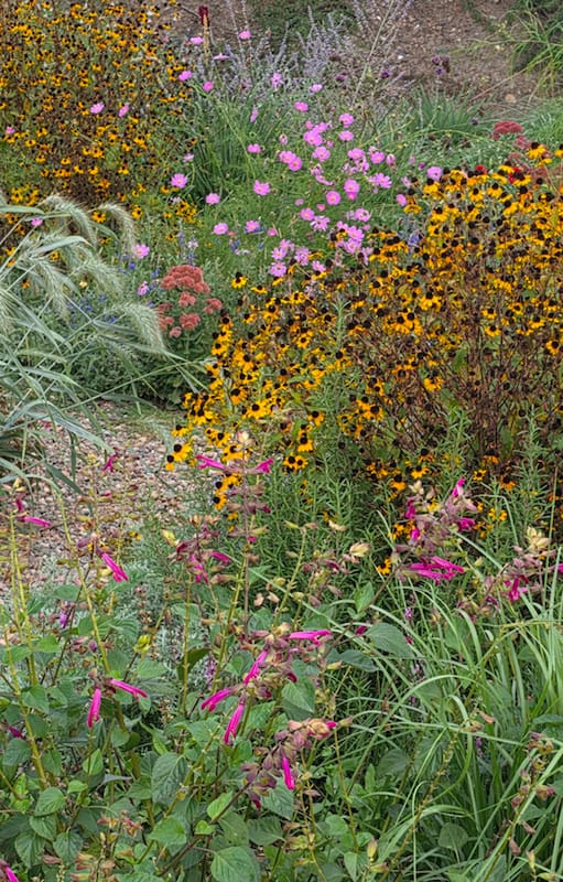 Jardín experimental donde se ponen muchas especies a prueba por varias temporadas