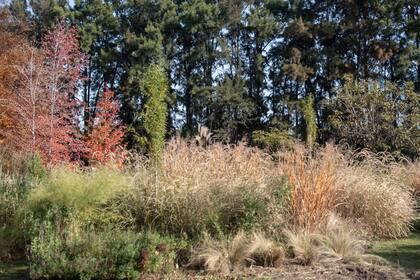 Jardin naturalista de Guillermo Benítez Cruz