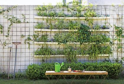 Jardín vertical de plantas colgantes montado sobre canaletas de PVC y banco ‘Zig-zag’ con base de hierro y madera sobrante de obra, todo confeccionado por Felipe. Foto: Santiago Ciuffo