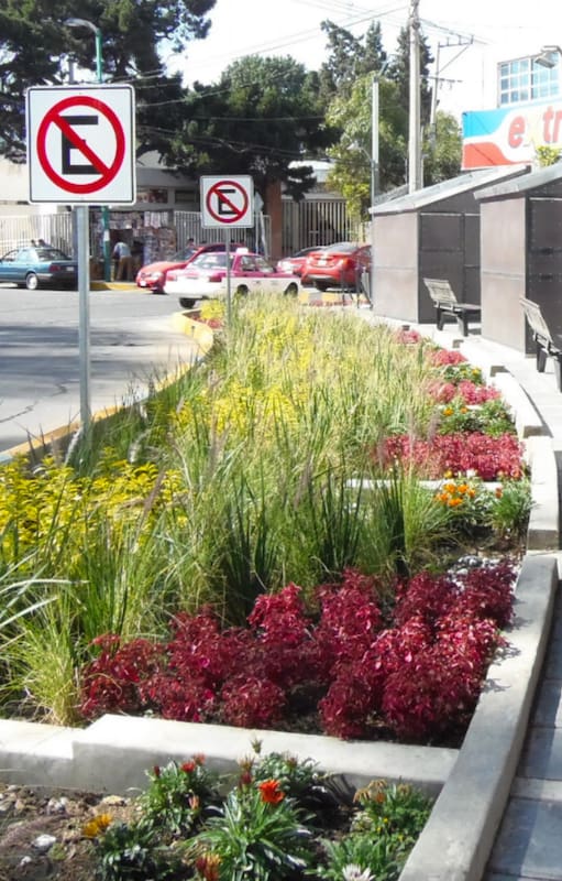 En la delegación Miguel Hidalgo de Ciudad de México, EET proyectó este jardín infiltrante sobre un segmento de la Avenida Legaria que acumulaba agua en forma de charcos y suciedad.