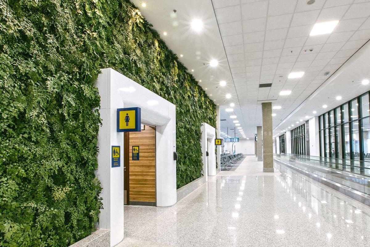 Jardines verticales en los pasillos con mucho color y luz