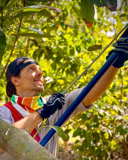 Jason Mraz mientras hace cosecha de paltas