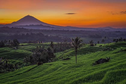 Jatiluwih, Indonesia
Gentileza BTV