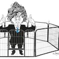 El Gobierno se autolimita frente al desafío electoral