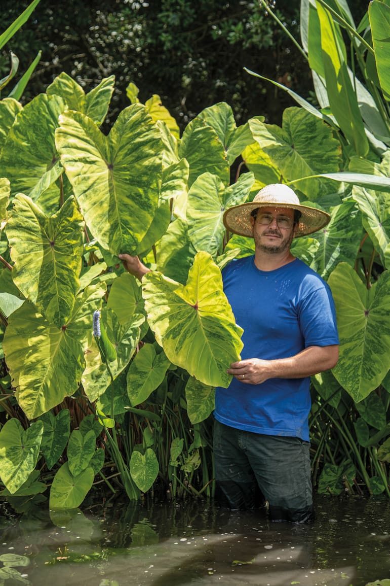 Javier Egner, en el vivero Naturalia