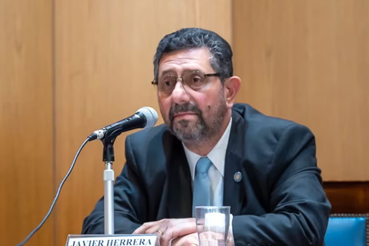 Javier Herrera Bravo