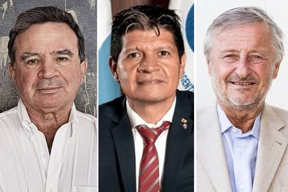 Javier Madanes Quintanilla, Alfredo González y Cristiano Rattazzi