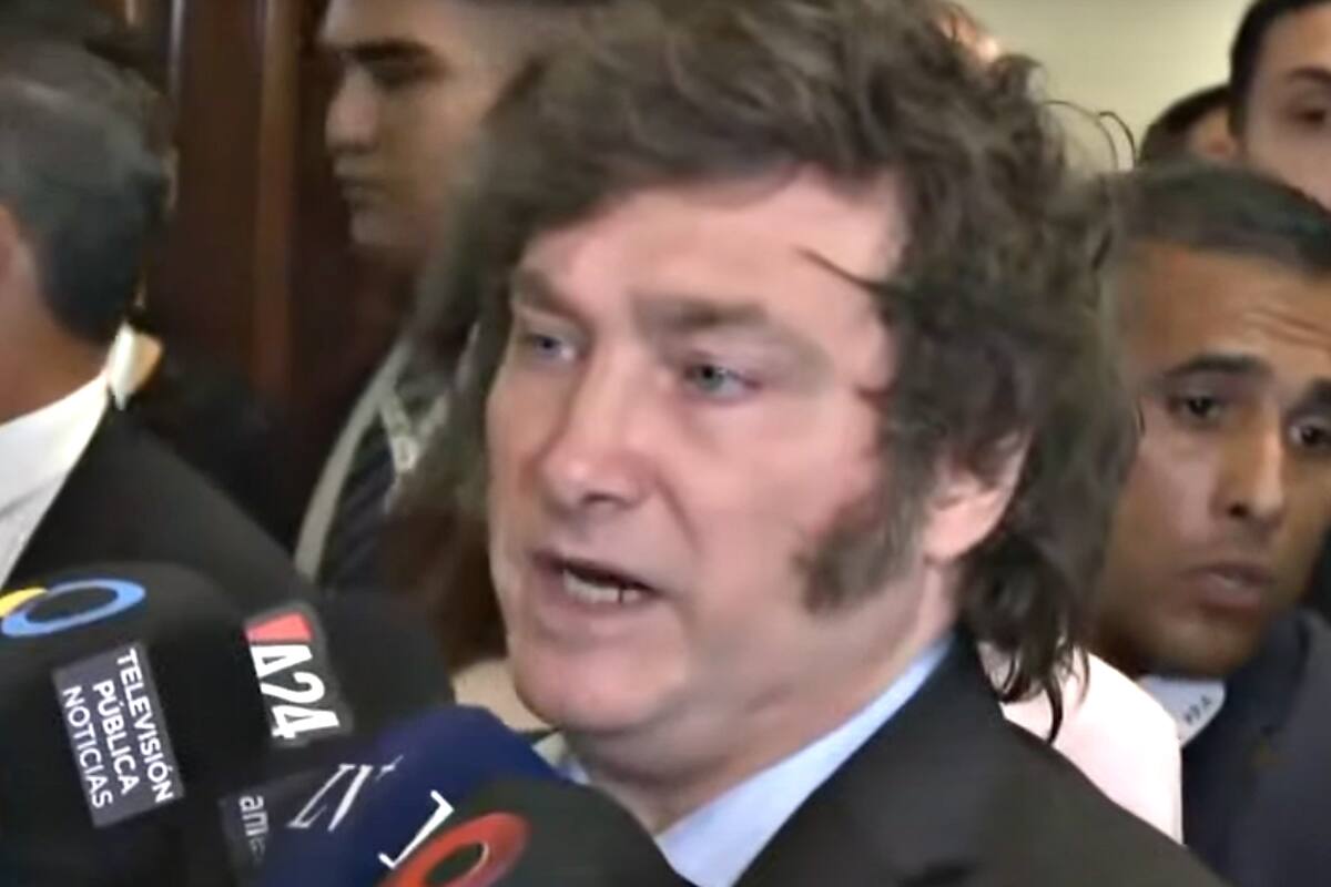 Javier Milei al salir del Congreso