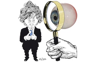 Milei, de la montaña rusa a un respaldo sostenido