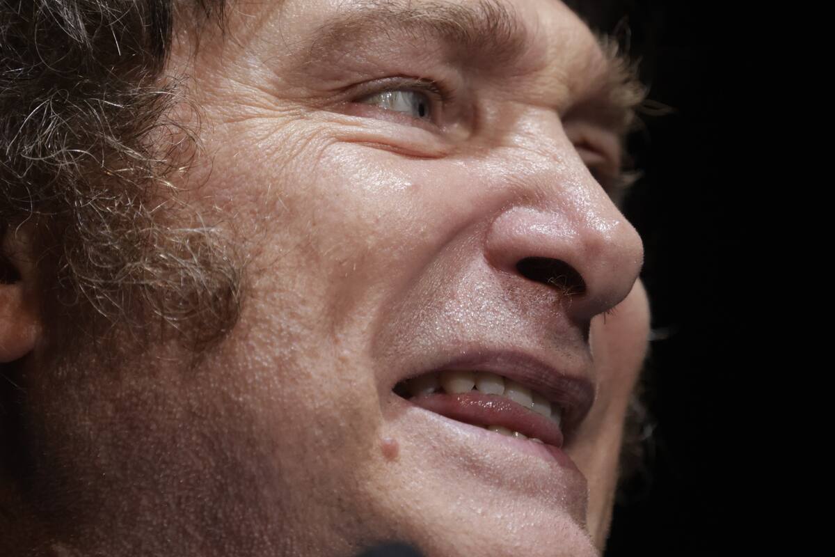 Javier Milei, ante el gran desafío de su carrera