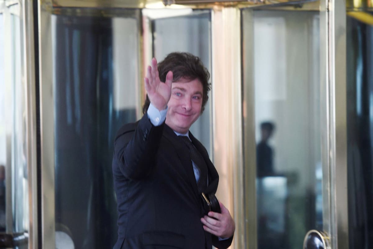 Javier Milei asumirá como presidente el próximo 10 de diciembre (DANIEL DABOVE - TÉLAM)