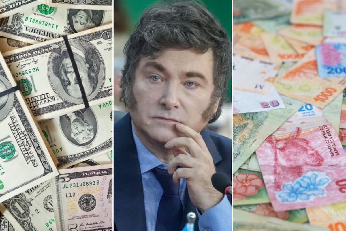Javier Milei, con billetes de dólares y pesos.