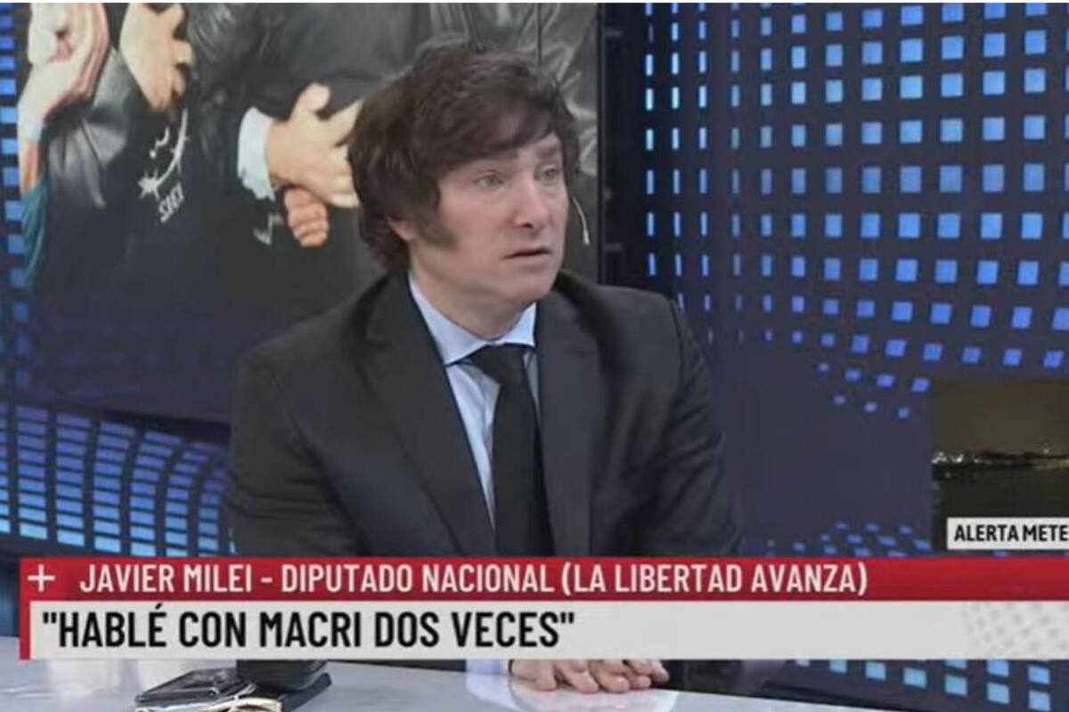 Javier Milei contó que tuvo dos charlas por Zoom con Mauricio Macri, pero dijo que le gustaría tener una conversación cara a cara con él