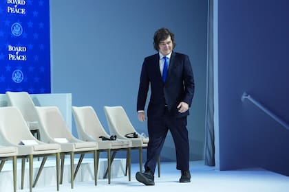 Javier Milei, cuando asistió al Consejo de la Paz que lanzó Trump